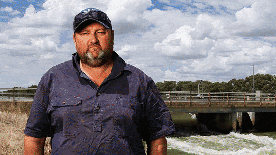 Elecciones parciales de Farrer.