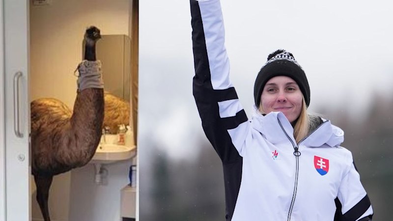 The Slovakian, the emu and the three bronze Paralympic medals