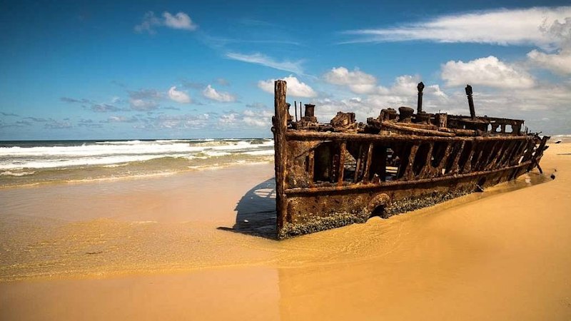 Teen found dead near K’gari shipwreck after possible dingo attack