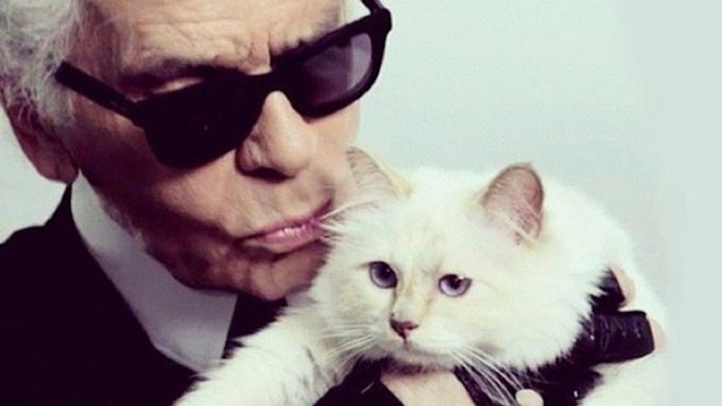 Inside the bizarre world of the richest cat in the world
