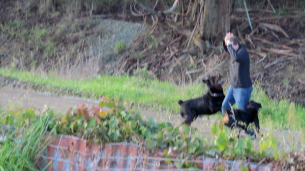 A photo, taken by a neighbour, shows autistic man Oliver Beaumont with his hands on his head moments before he was attacked by two Rottweillers in Winton, New Zealand, on Sunday.