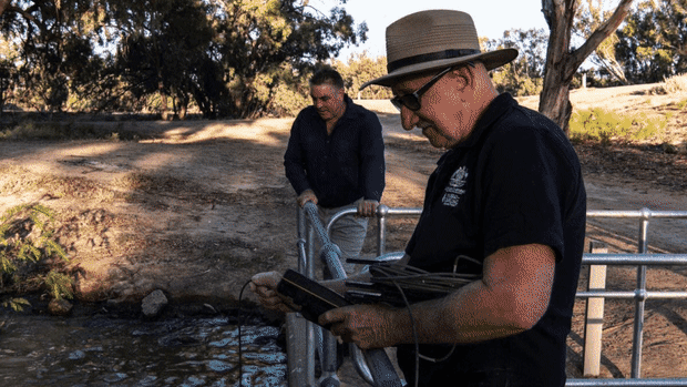 River managers fight to save Menindee Lakes from flood of deadly blackwater