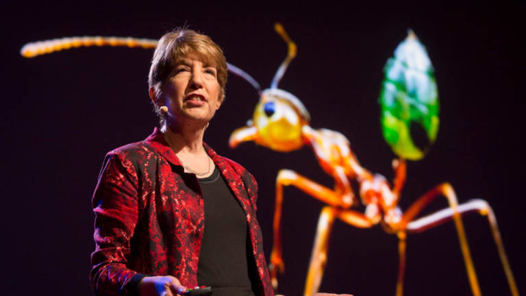 Professor Marlene Zuk.