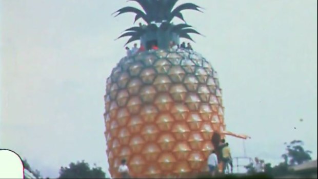 Walton Roy Sinclair's film shows the Big Pineapple before it pans out to the fields.