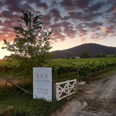 Yarra Yering’s 2018 Carrodus shiraz scored the maximum 99 points.