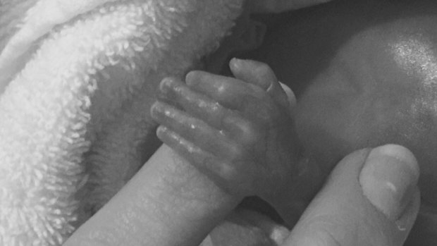 Little Ryder Leonard's hand. He was born at just 22 weeks.