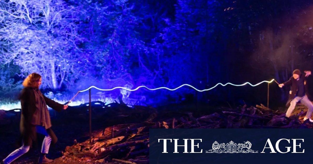 Harry Potter: A Forbidden Forest Experience backlash leads Warner Bros to seek new venue - Vimarsana News
