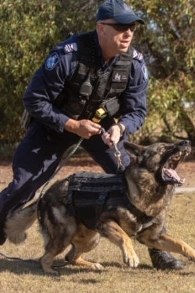 PD Rambo worked tirelessly to protect the community, police said. 