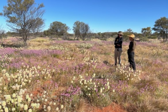 Field of wildflowers, with AWC officer, Jessica Holding and Ana Pollak.