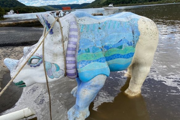 Spenser the rhino has been on two river journeys in as many years. 