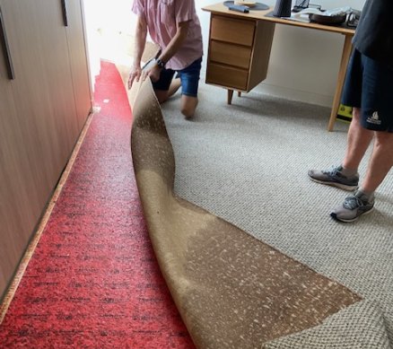 The water damage found under the carpet. 