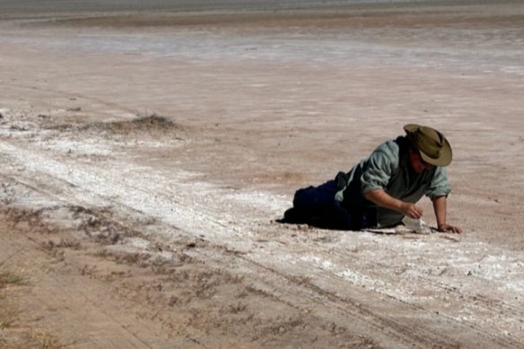 Sophie Cape, in the pose of The Dying Gladiator, collecting salt.