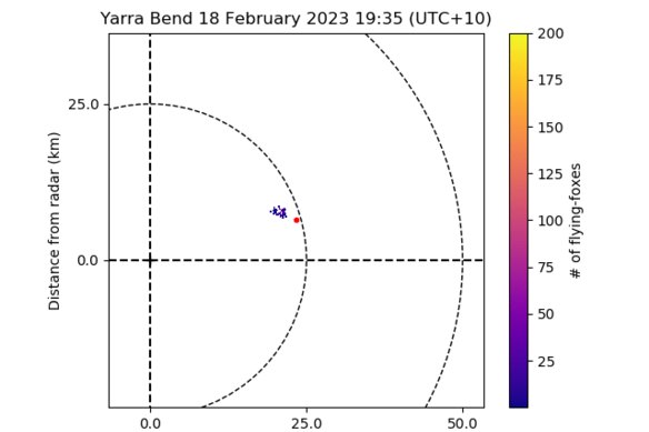 Flying foxes leaving Yarra Bend Park, as captured on the BOM radar.