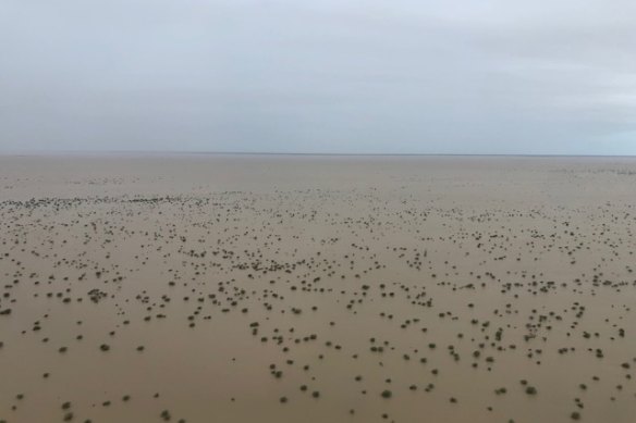 The severe flooding that hit north-west Queensland in 2019.