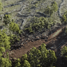 Logging site at Mt Horsfall.