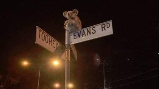 This photo of a koala on top of a Salisbury street sign has become a key image of a campaign for a new wildlife centre in south-east Queensland.
