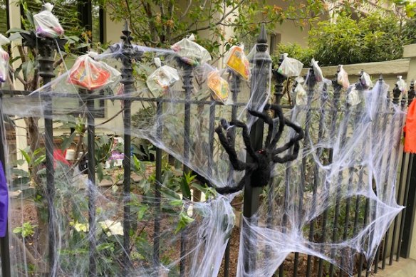 A COVID-safe Halloween in Albert Park.