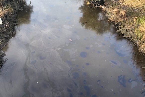 An oil slick on the surface of the creek. 