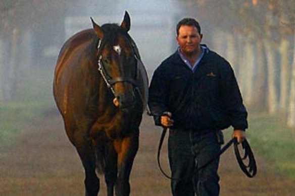 He will live on: Stallion groom Adam Shankley walks Redoute's Choice at Arrowfield.