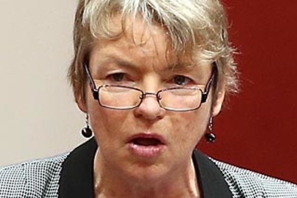 Greens senator Janet Rice questioned how the department managed the conflict of interest.