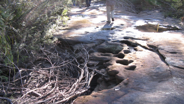 A dried-out creek above the Dendrobium mine in the Special Areas of Sydney's water catchment.