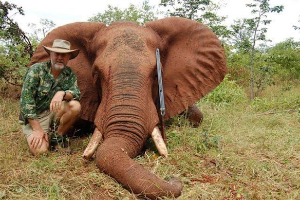 Shooters Party leader Robert Borsak, posing with an elephant he shot in Africa, has proposed a new body to take over some of the duties of the disbanded Game Council, which he once chaired.
