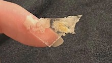 Brisbane mum Laura claims she found a piece of glass in a loaf of bread after making her daughter a toasted sandwich.