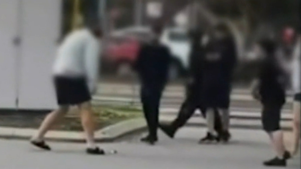 Falcon assault: Teen charged over sickening alleged assault which left ...