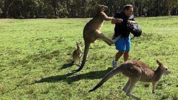 A man is attacked by a kangaroo in the grounds of Morisset Hospital in March.