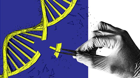 The ability to edit genes has unlocked a range of astonishing applications – and warnings.