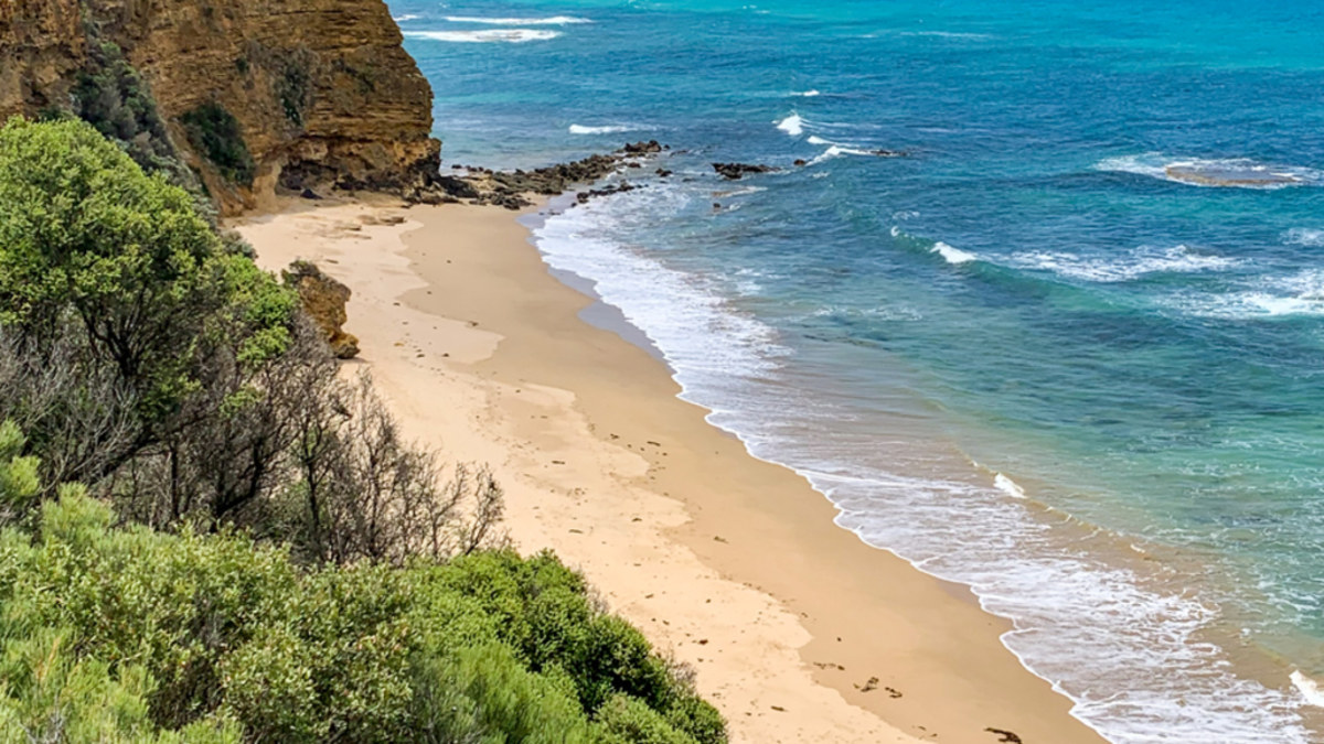 Bells Beach closes: Concerns after whale carcass washes up