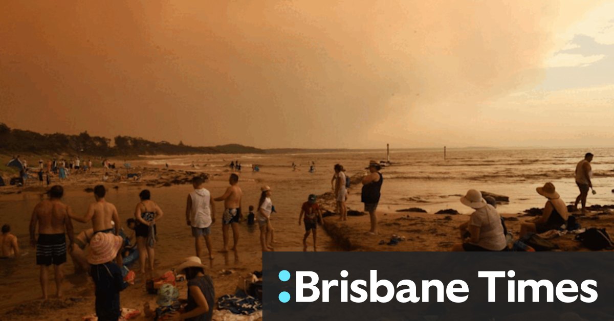 NSW threatened species list grows by 20: State of the Environment report - Vimarsana News