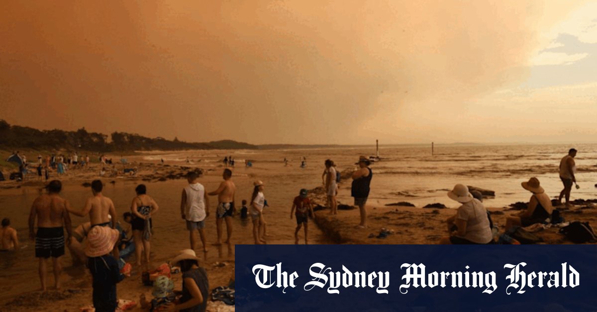 NSW threatened species list grows by 20: State of the Environment report - Vimarsana News