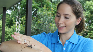 Australian Spider S Web Is So Strong It Could Make Bulletproof