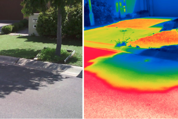 The effects of tree shade on road surface temperatures, seen through infrared imaging. 