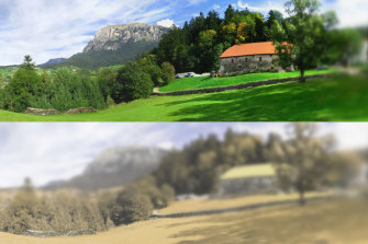 A cat’s vision (simulated in the bottom half) is designed for hunting and picks up less colour.  