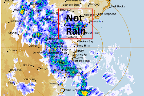Bogong moths are suspected to be showing up as widespread light rainfall across NSW.
