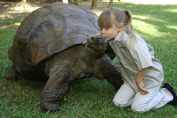 Harriet the tortoise lived in Brisbane’s Botanical Gardens until she spent her final years at Australia Zoo, where she is pictured with a young Bindi Irwin in 2006.
