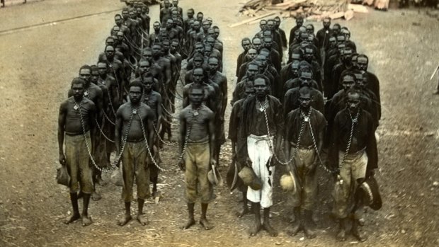 A photograph of Indigenous men in neck chains in 1905, taken at the Wyndam Police Station, East Kimberley, Western Australia.