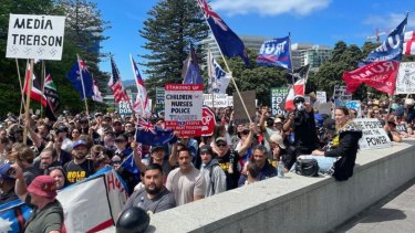 The protest at Parliament in Wellington, New Zealand.
