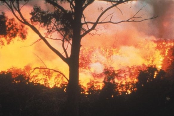 Western Power is again being accused of its power lines contributing to a bushfire.