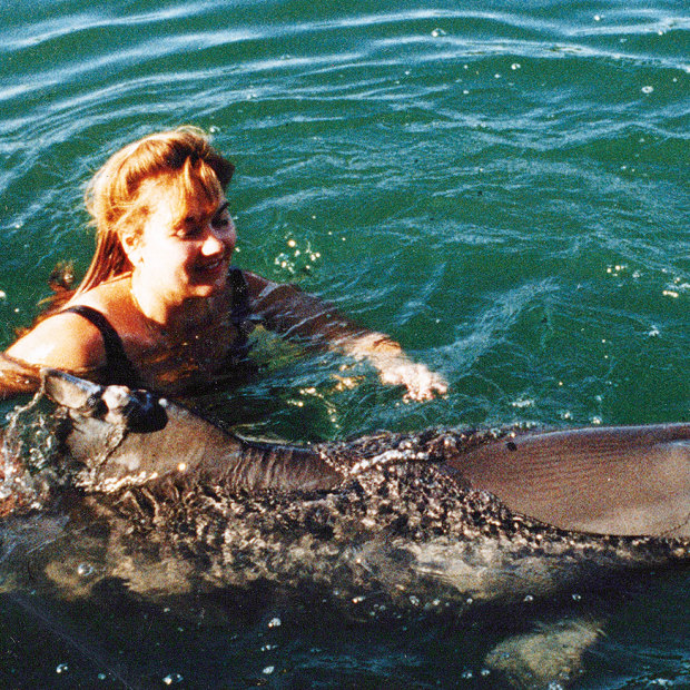 Melody began volunteering as part of her studies and came across an isolated dolphin, Jock, who she befriended.