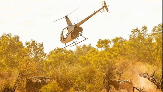 Two Robinson helicopters similar to the one pictured have collided in WA’s far north.
