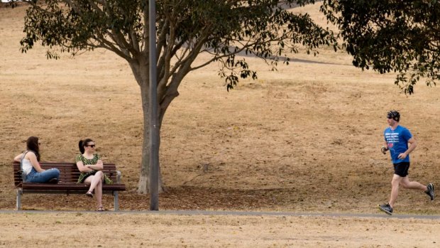 Sydney Park has been declared to be "significantly contaminated land".