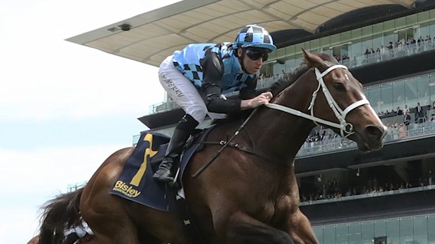 Panova wins the Reginald Allen Quality in October last year at Randwick.