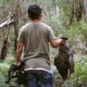 Men sought after ‘endangered powerful owl’ shot dead in state forest