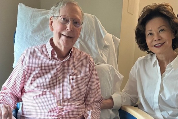 Mitch McConnell ve eşi Elaine Chao.
