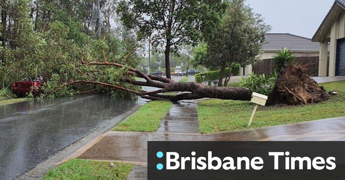 King tide swallows beaches, flooding and fallen trees knock out power - Vimarsana News