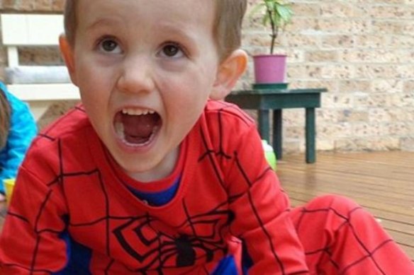 Missing boy, William Tyrrell.