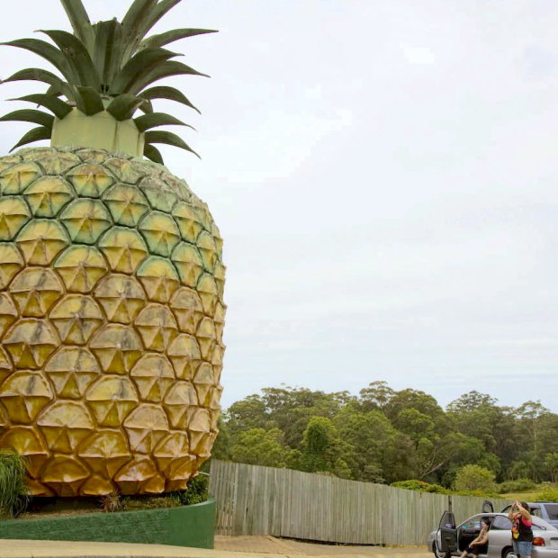 Local tourism icon, The
Big Pineapple.